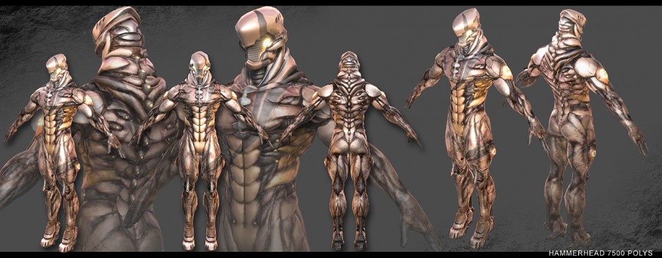 hyd_comp02